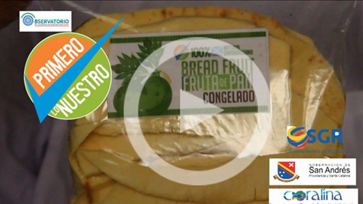 BREAD FRUIT_47